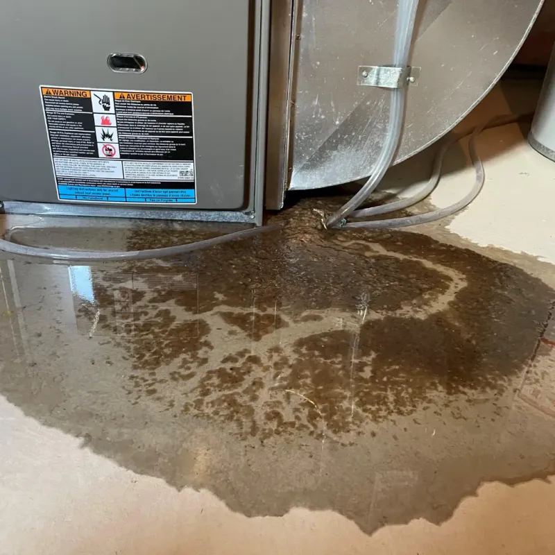 Appliance Leak Cleanup in Summit Park, UT